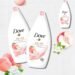 Dove