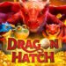Dragon Hatch